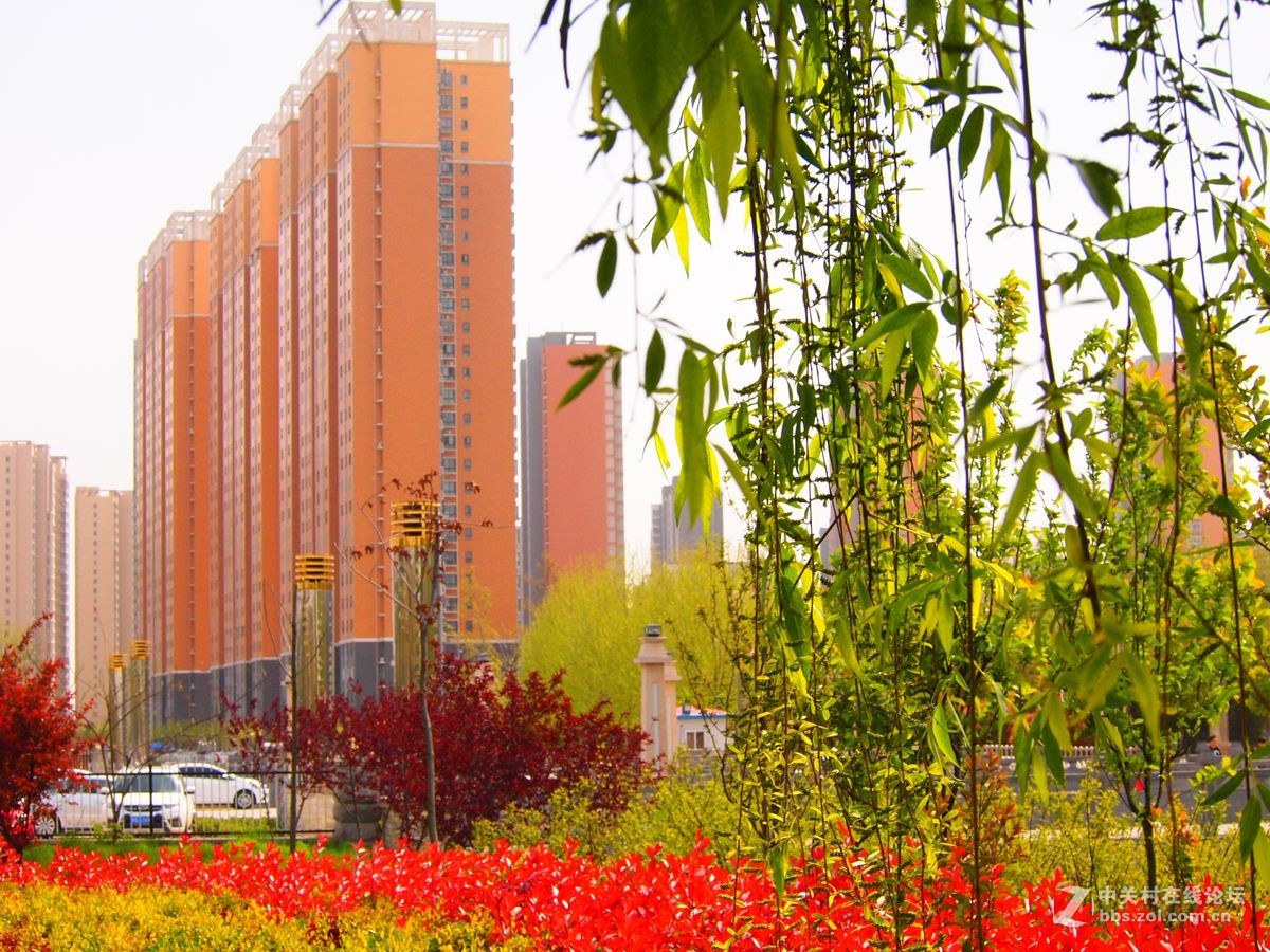 驻马店黄淮学院初夏园林景观