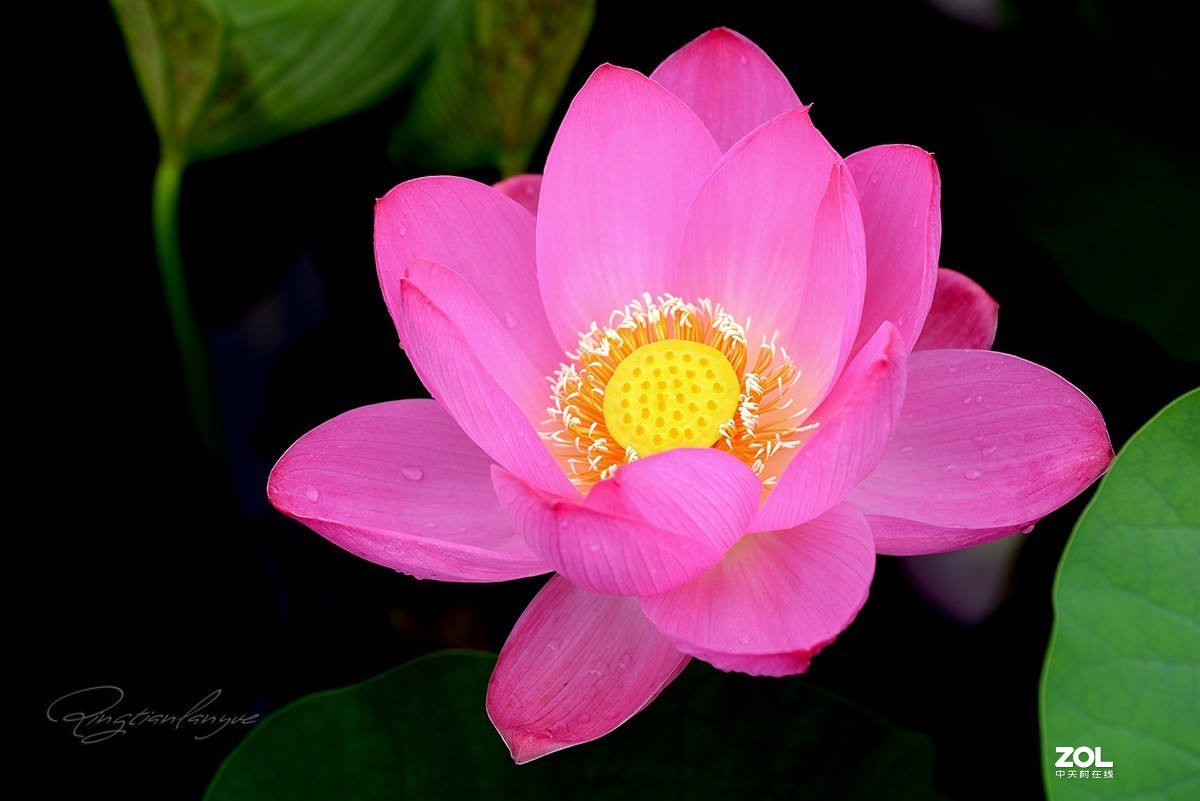 腾龙90微三代，F017效果让人满意，上几片供参考。