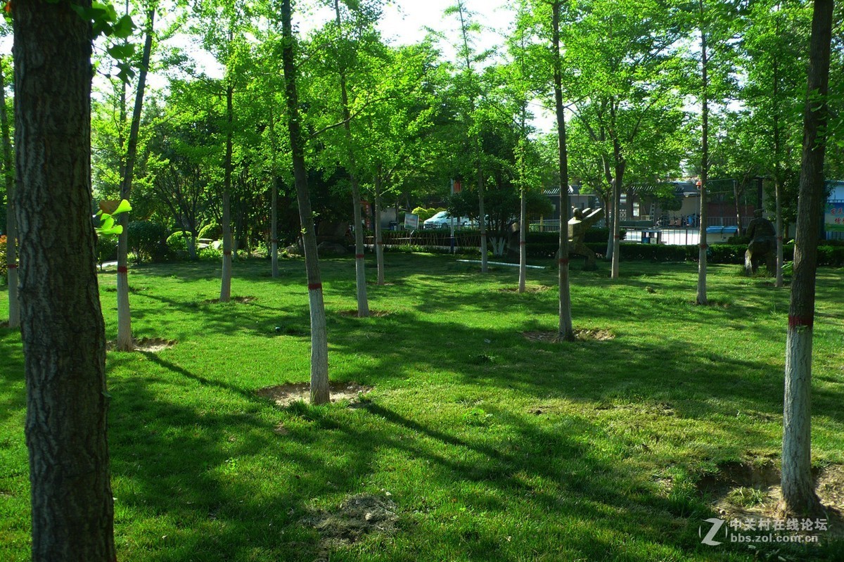 运城市圣惠公园