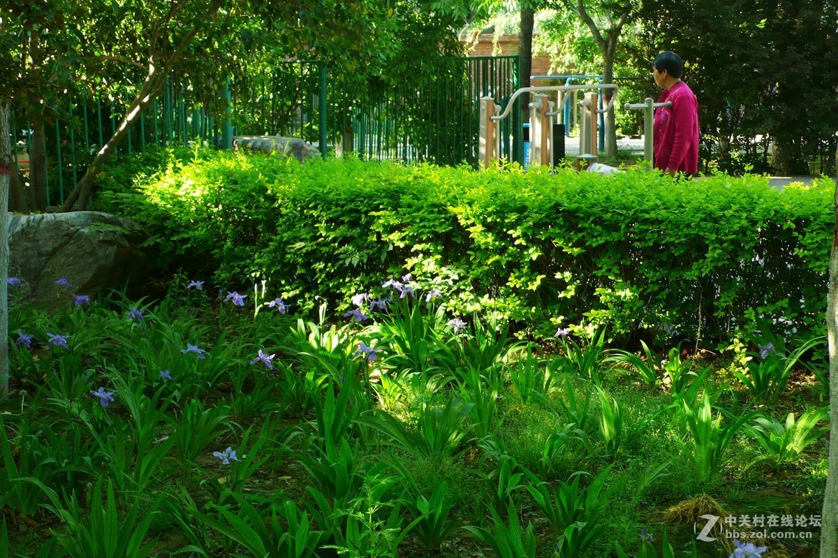 运城市圣惠公园