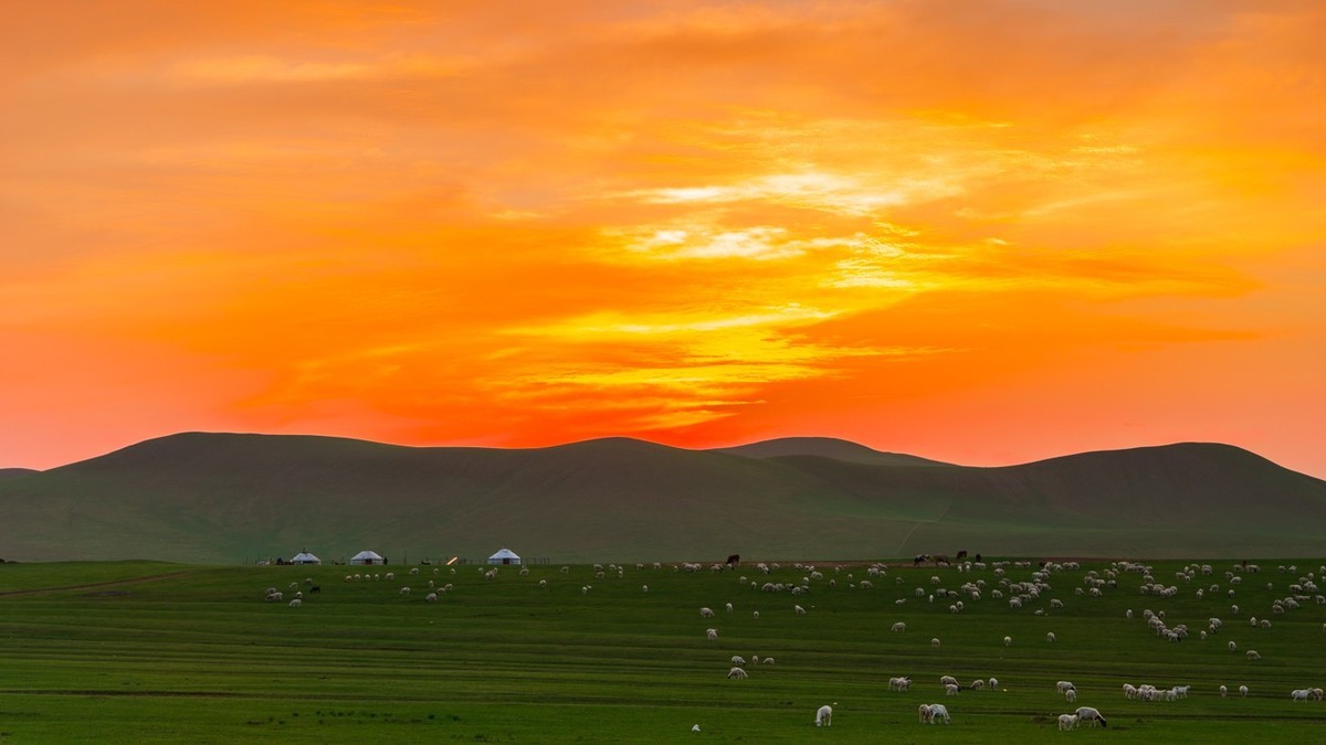 夏的草原草原的落日