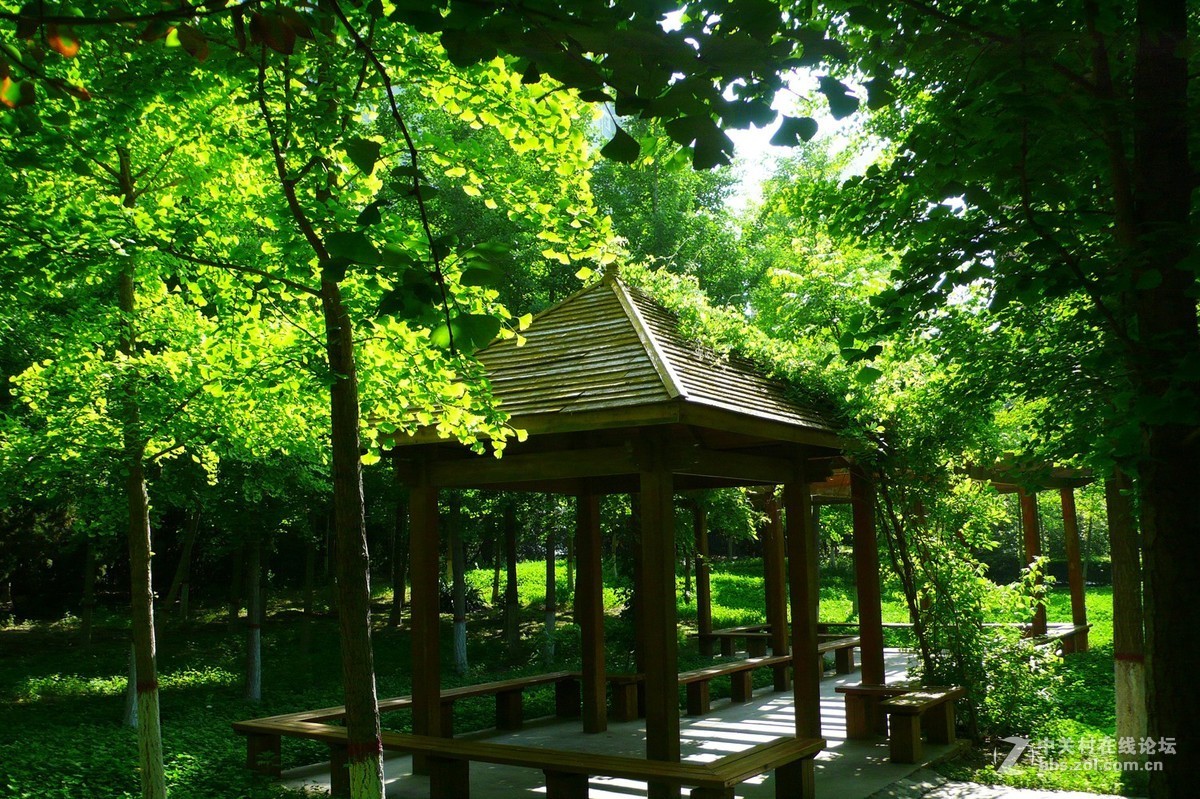 运城市圣惠公园