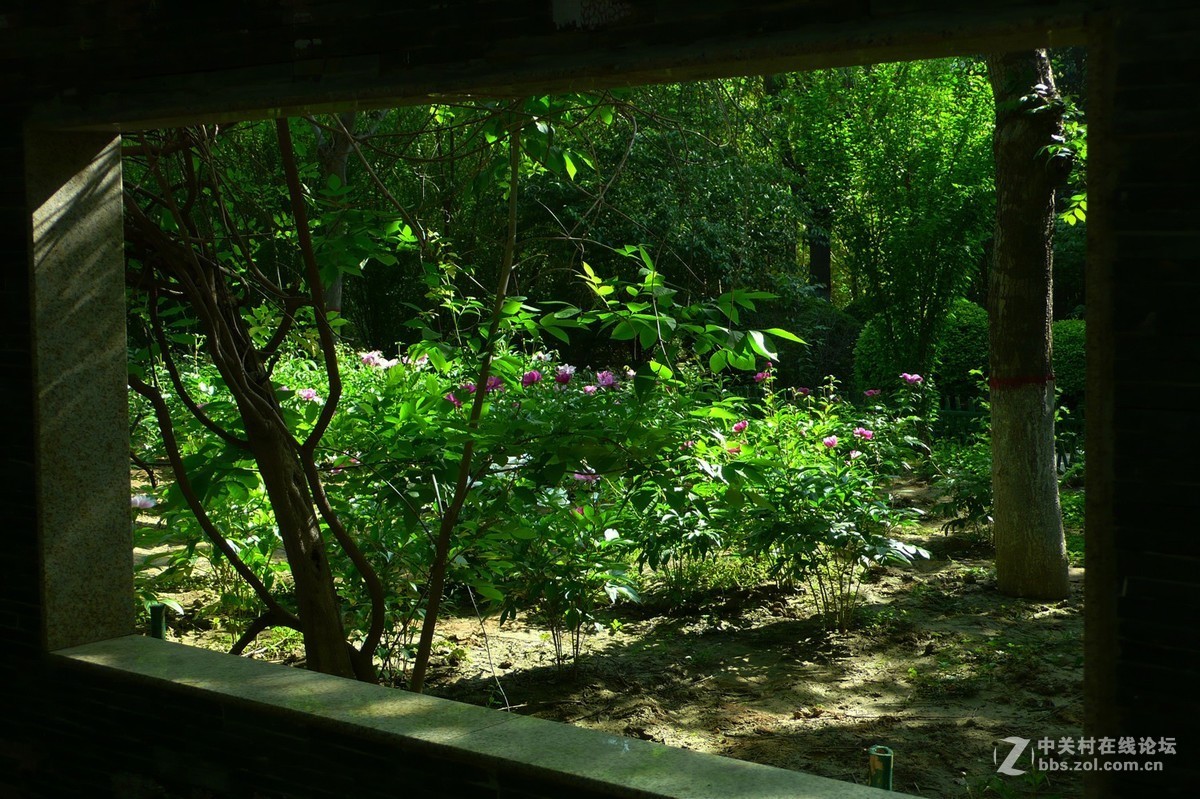 运城市圣惠公园