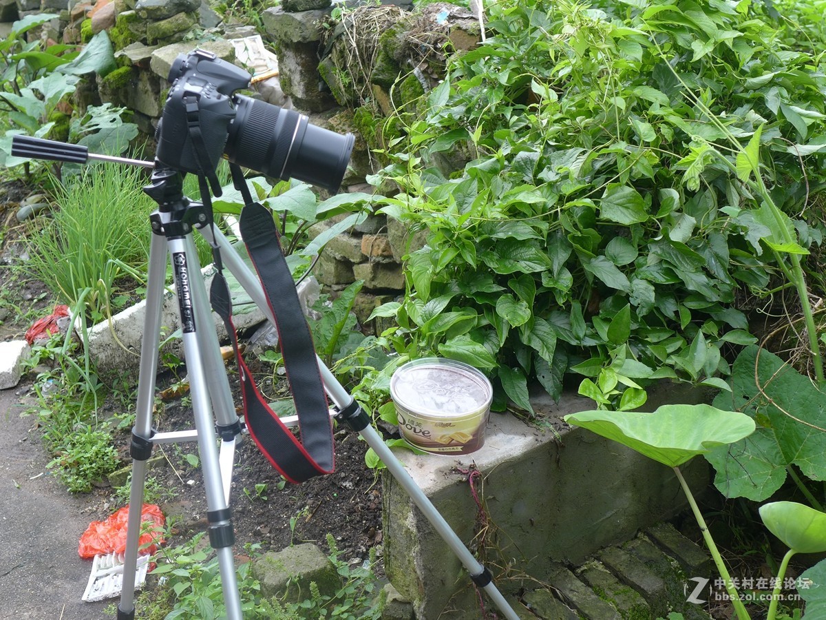 不要迷信单反，看微距对比