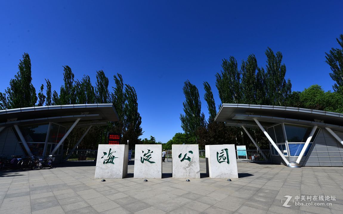 公园随拍——北京海淀公园夏季风光