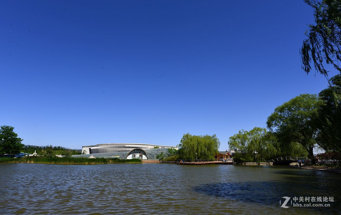 公园随拍——北京海淀公园夏季风光