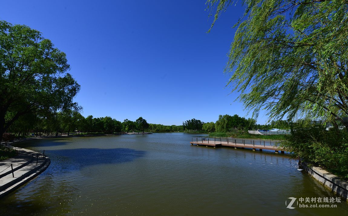 公园随拍——北京海淀公园夏季风光