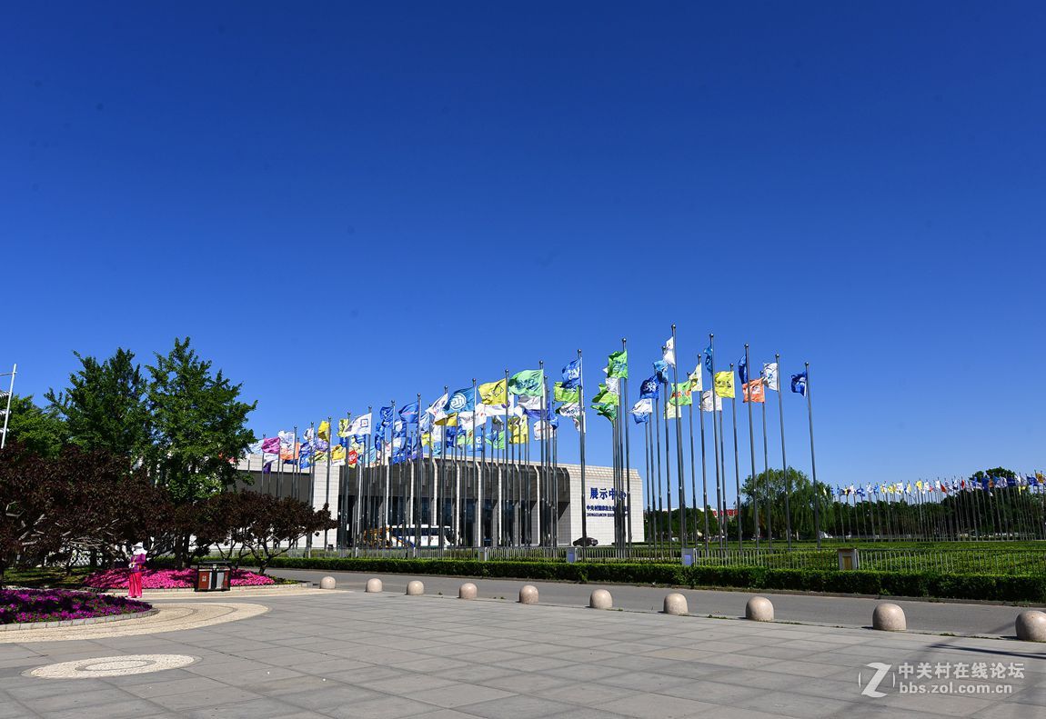 公园随拍——北京海淀公园夏季风光