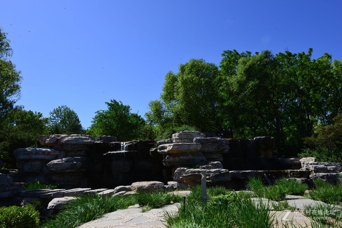 公园随拍——北京海淀公园夏季风光