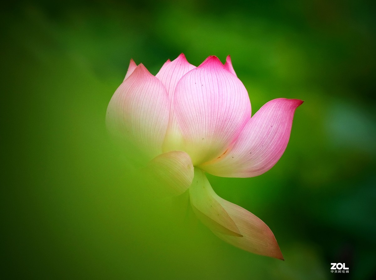 粗谈：富士XF 50-140mm f/2.8 R LM OIS WR镜头