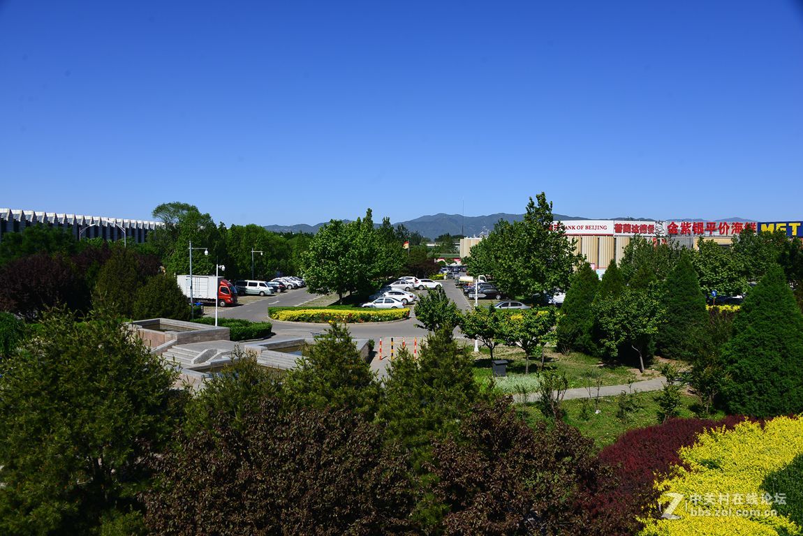 公园随拍——北京海淀公园夏季风光