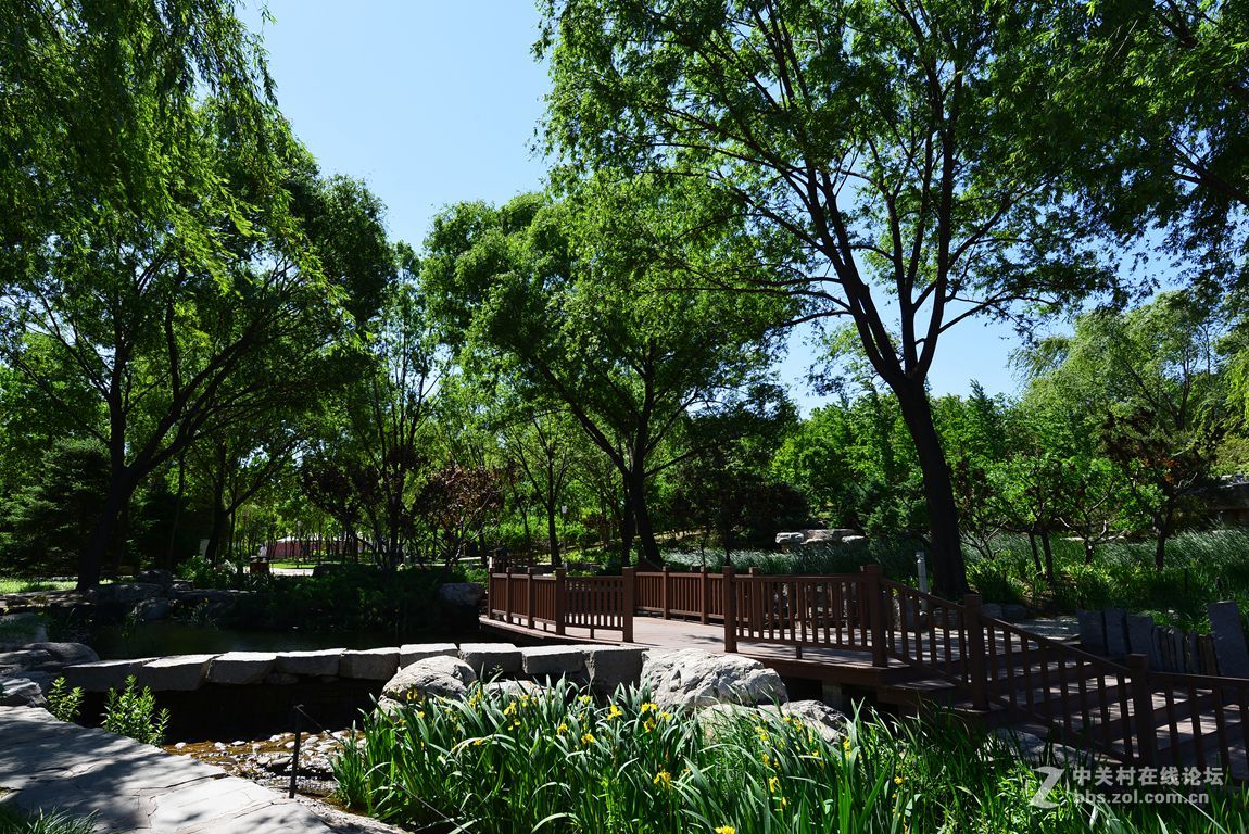 公园随拍——北京海淀公园夏季风光