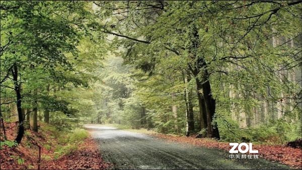 照片后期调色思路解析