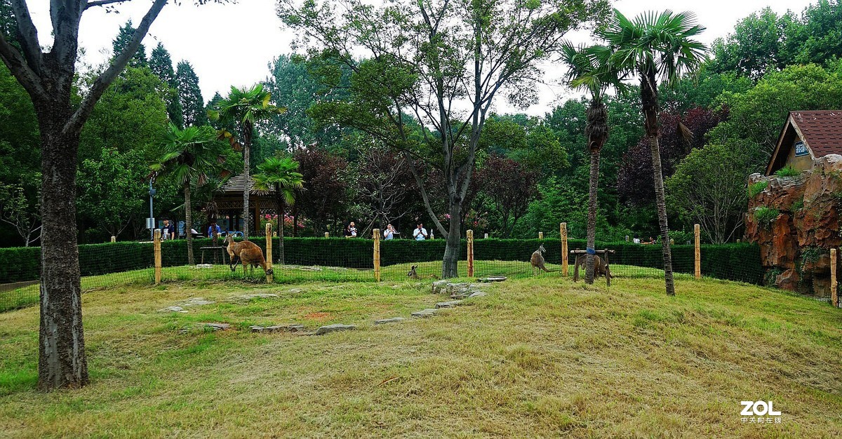 旅游--扬州动物园随拍《5》