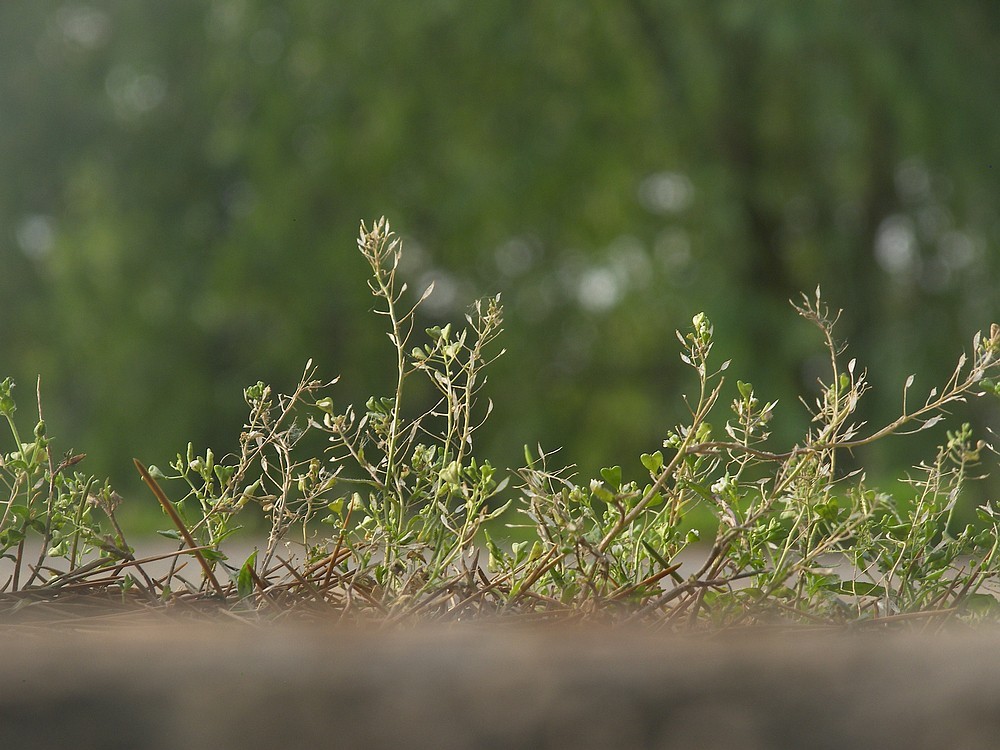 [P880]柯达P880初拍河边的早晨