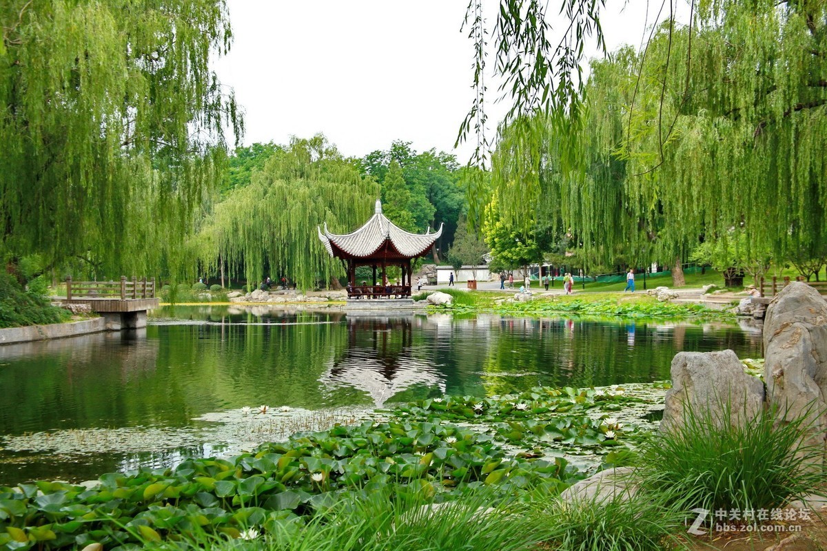 陶然亭公園小景