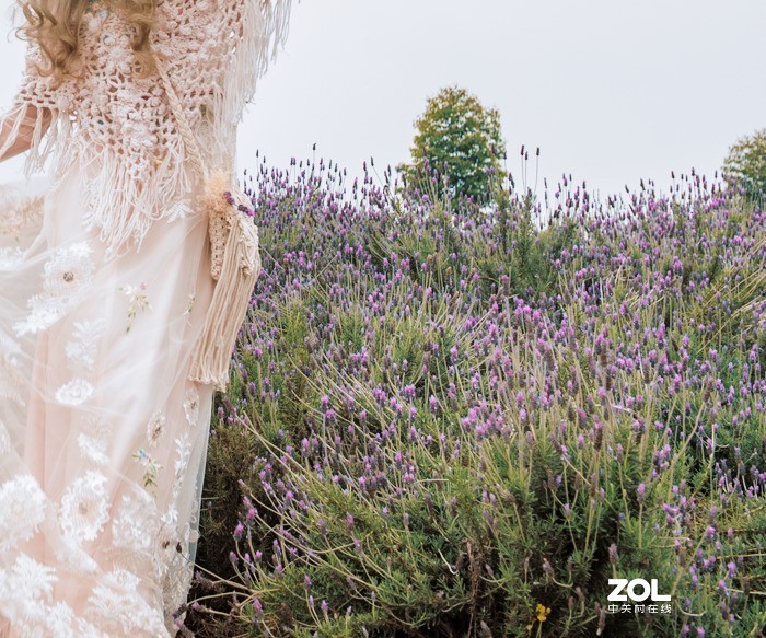 照片后期调色思路解析