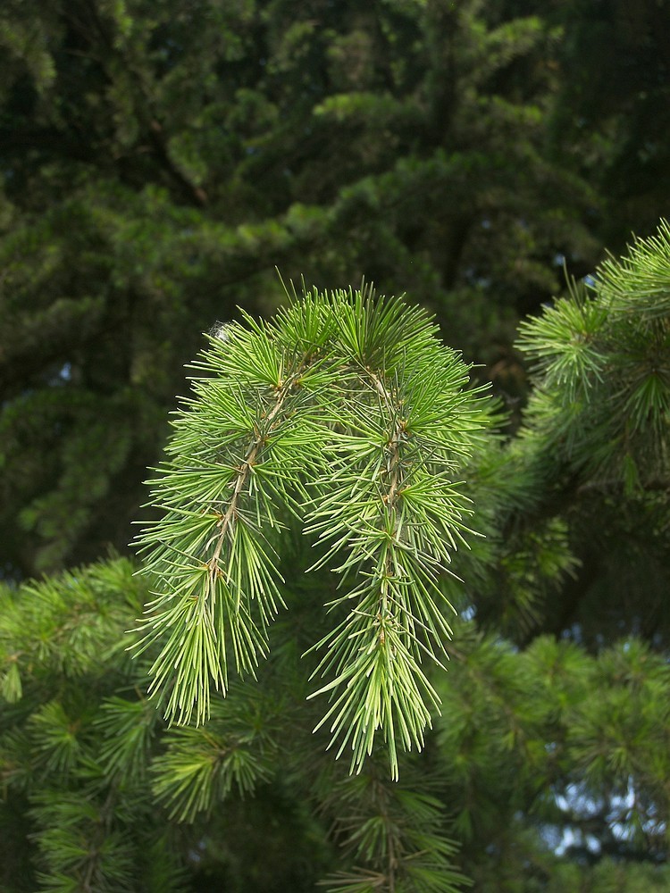 [P880]柯达P880初拍河边的早晨