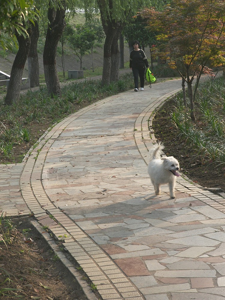 [P880]柯达P880初拍河边的早晨