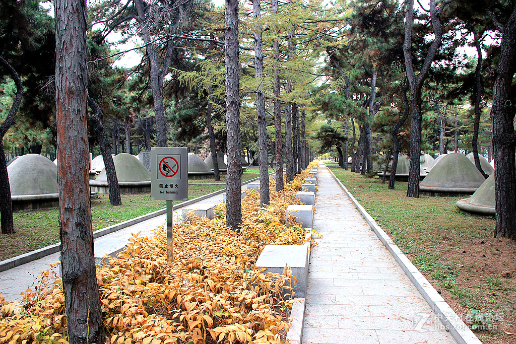 沈阳抗美援朝烈士陵园。烈士英灵永垂不朽！千秋万代与日月争辉（2）