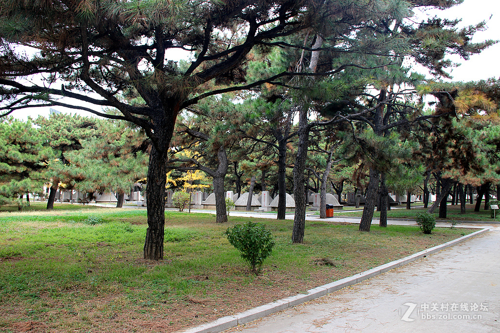 沈阳抗美援朝烈士陵园。烈士英灵永垂不朽！千秋万代与日月争辉（2）