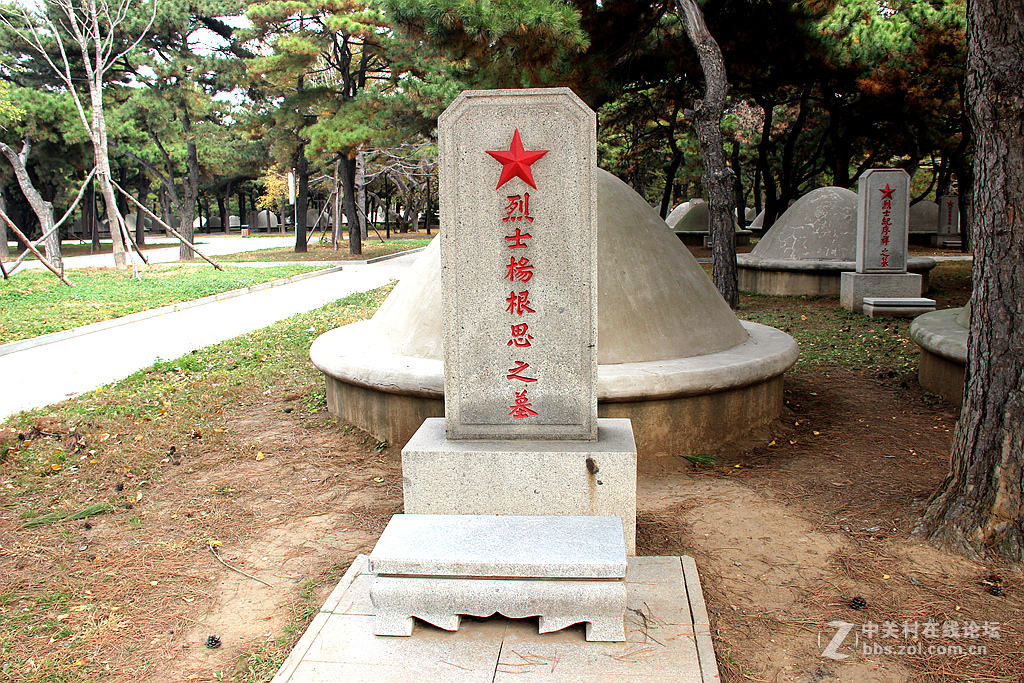 沈阳抗美援朝烈士陵园。烈士英灵永垂不朽！千秋万代与日月争辉（2）