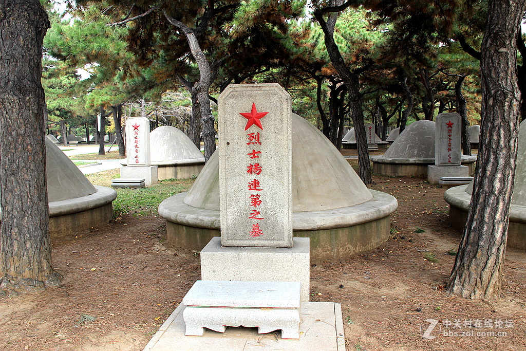 沈阳抗美援朝烈士陵园。烈士英灵永垂不朽！千秋万代与日月争辉（2）