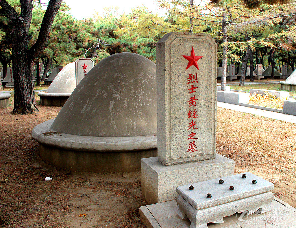 沈阳抗美援朝烈士陵园。烈士英灵永垂不朽！千秋万代与日月争辉（2）