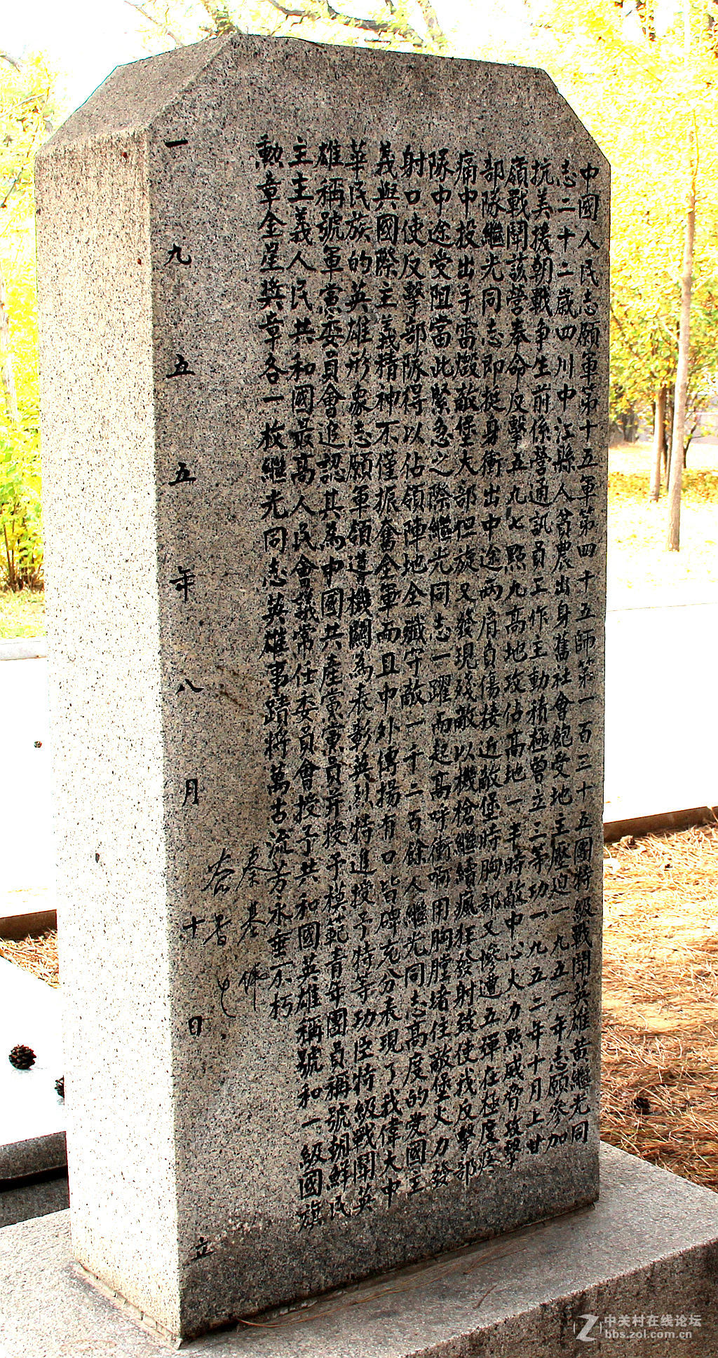 沈阳抗美援朝烈士陵园。烈士英灵永垂不朽！千秋万代与日月争辉（2）