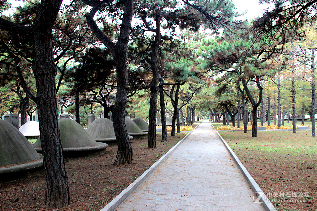 沈阳抗美援朝烈士陵园。烈士英灵永垂不朽！千秋万代与日月争辉（2）