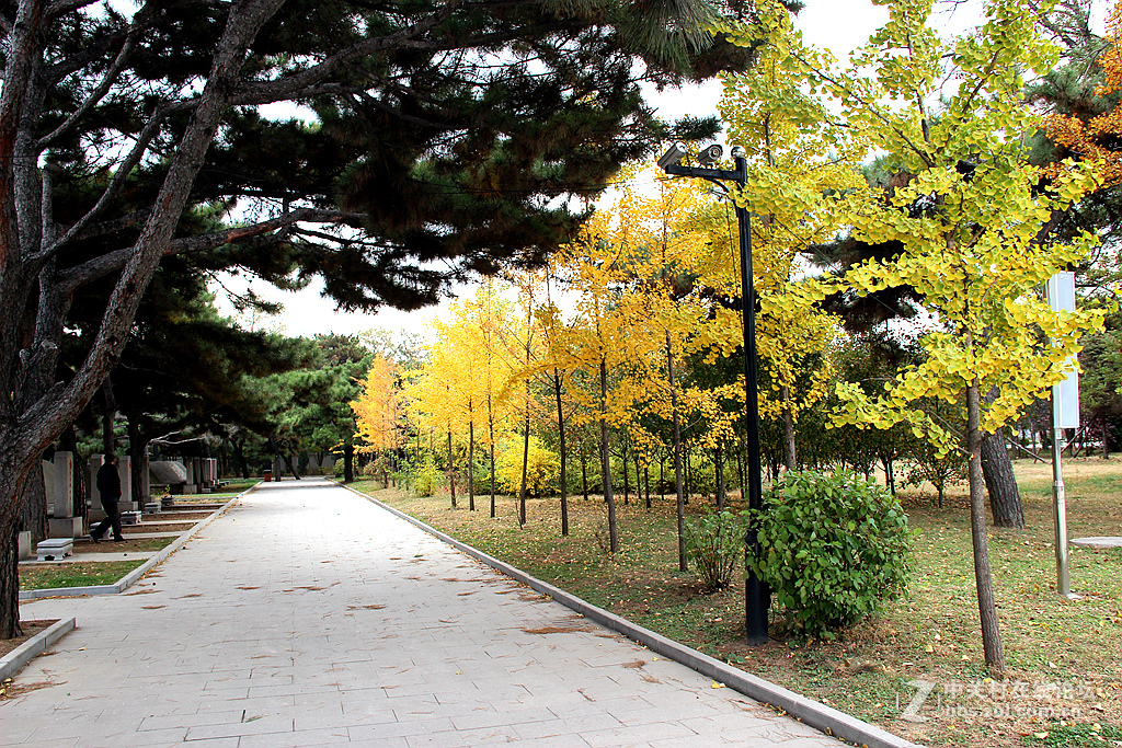 沈阳抗美援朝烈士陵园。烈士英灵永垂不朽！千秋万代与日月争辉（2）