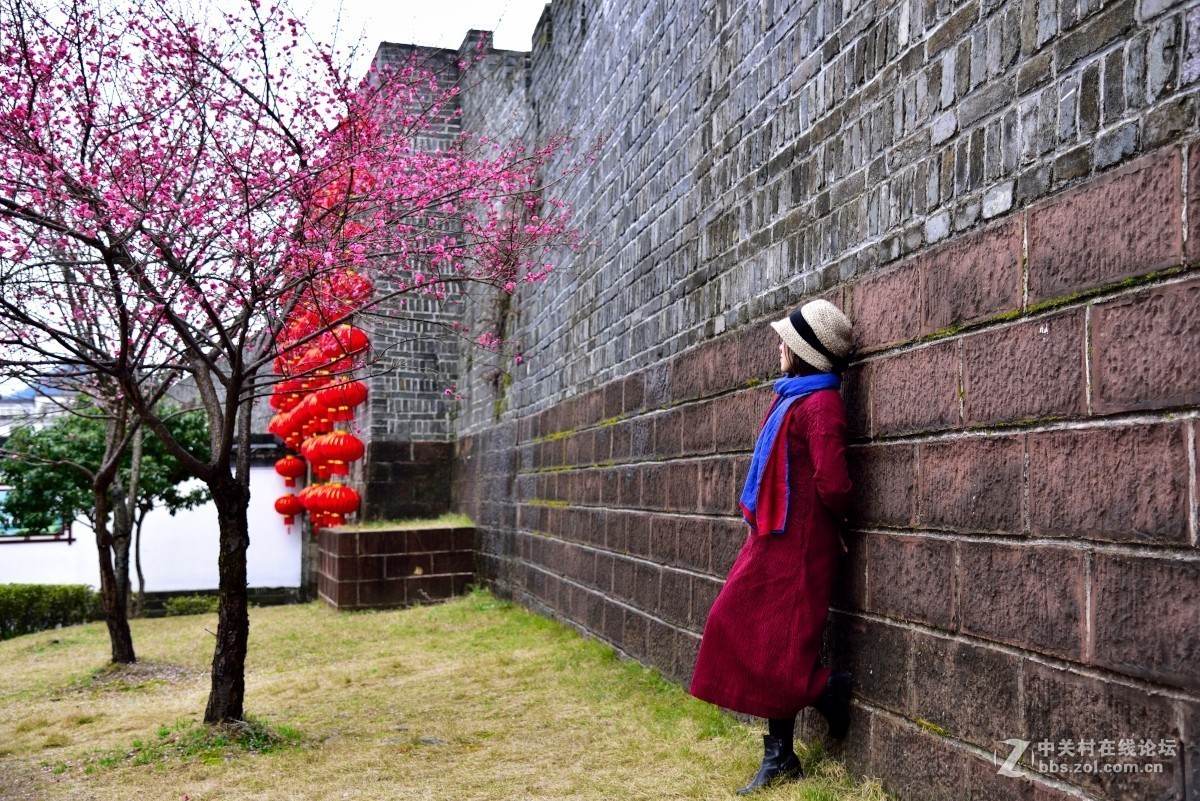 卖花渔村香雪海