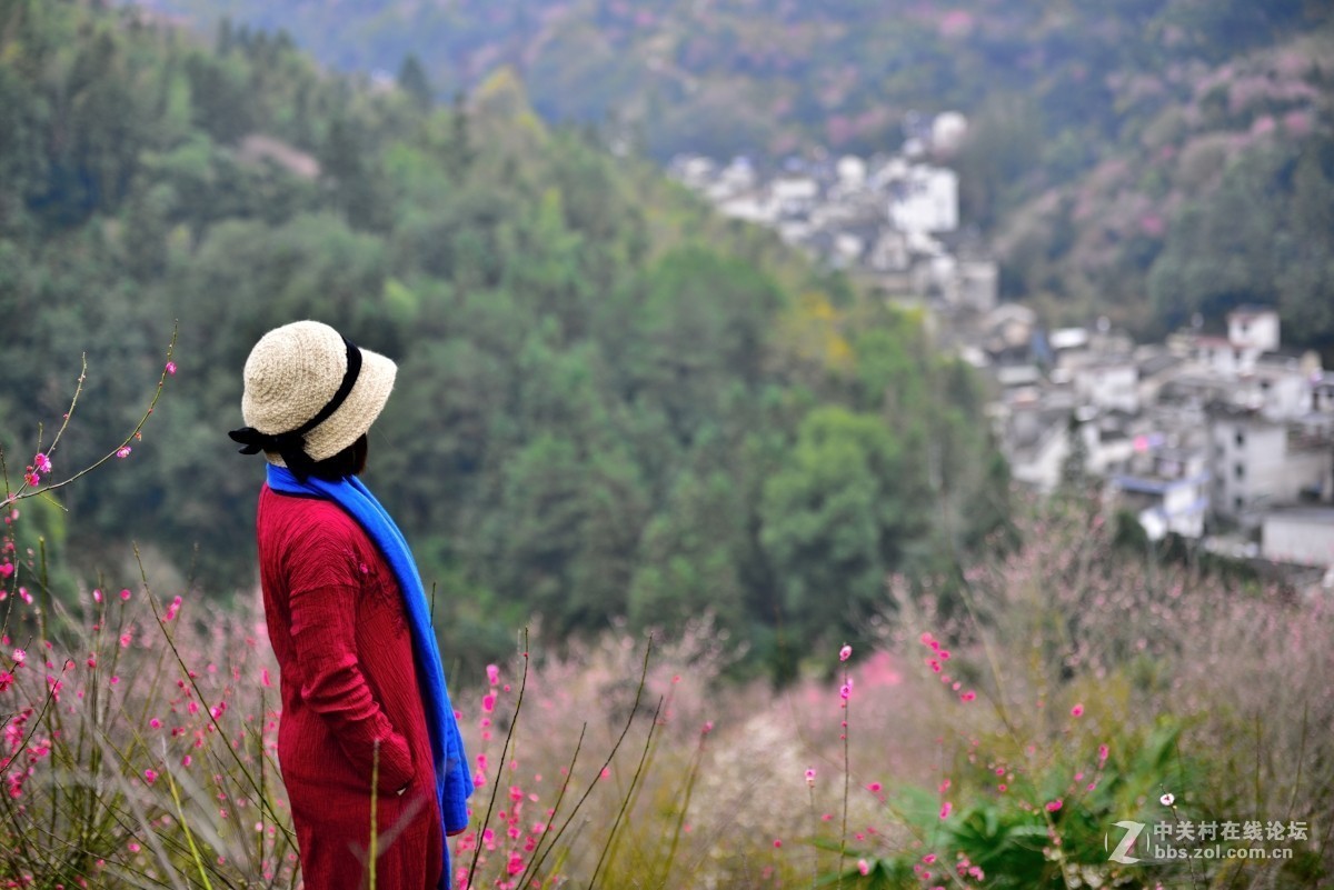 卖花渔村香雪海
