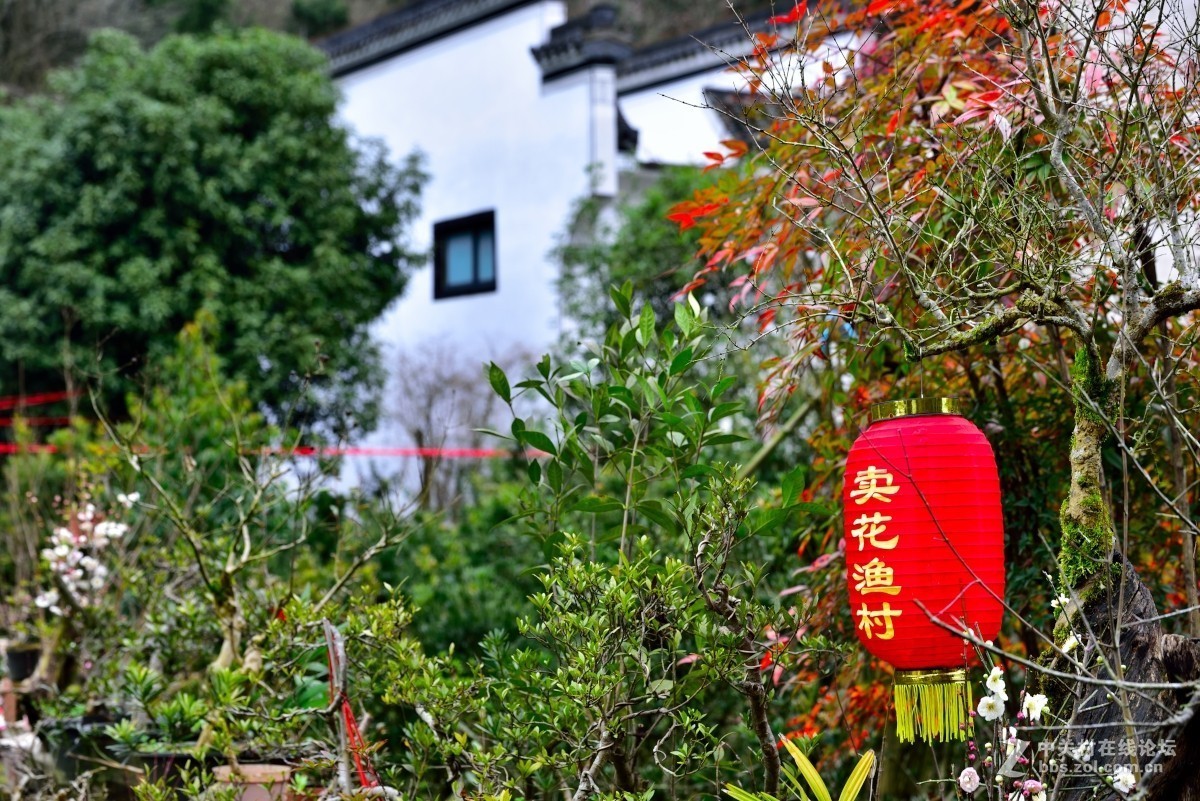 卖花渔村香雪海