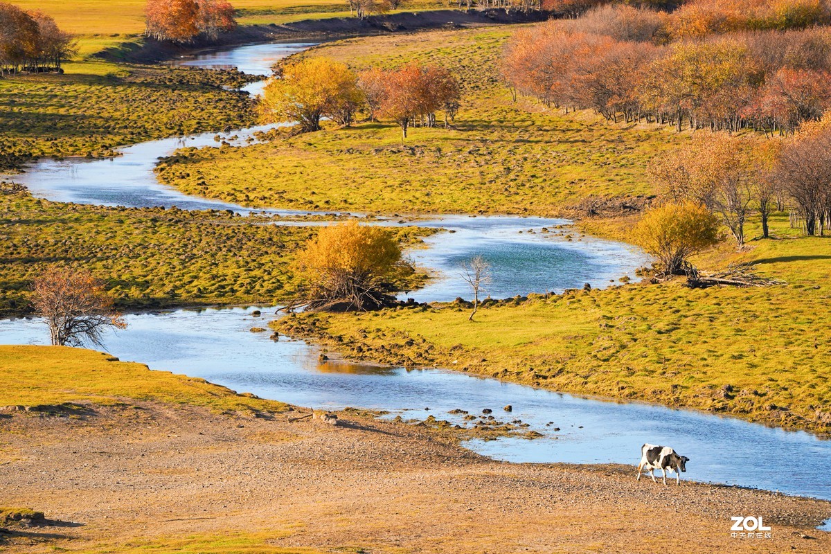 索尼微单战队呼伦贝尔行记----根河（三）