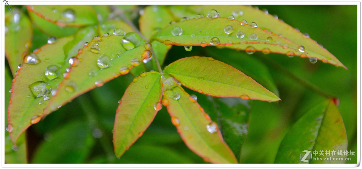 近期用适马18-200镜头拍摄的纪录片！