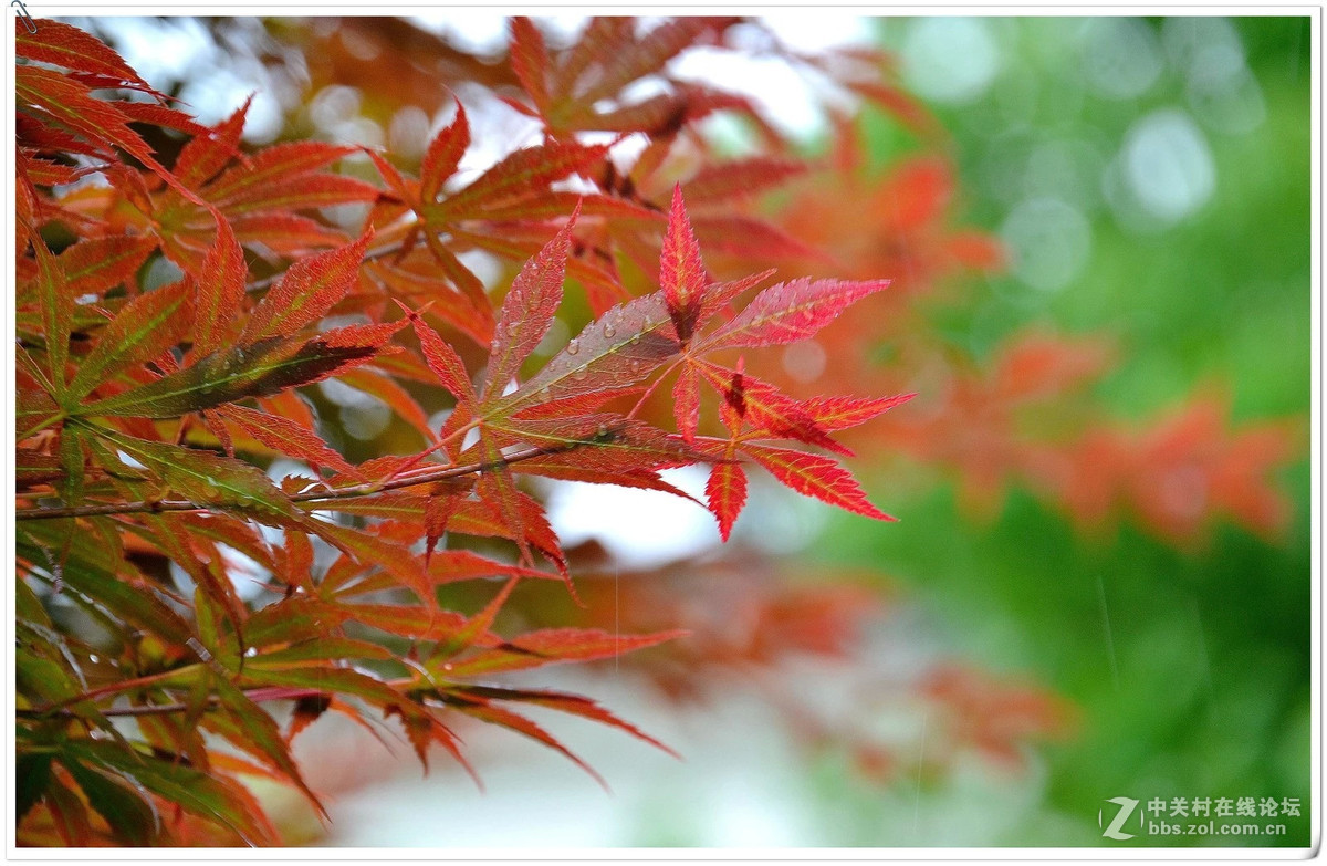 近期用适马18-200镜头拍摄的纪录片！