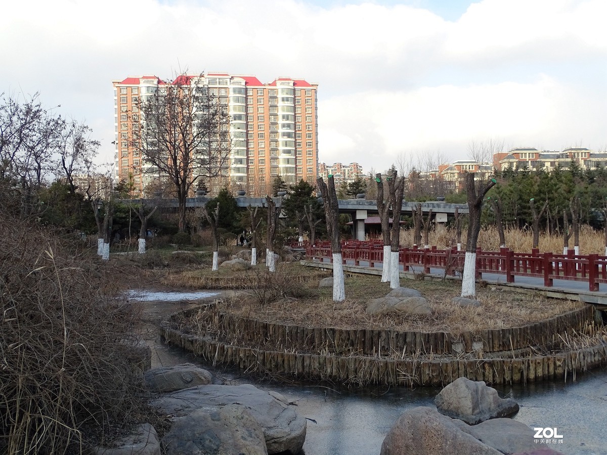 植物园——完结篇（2018.12.31——4）