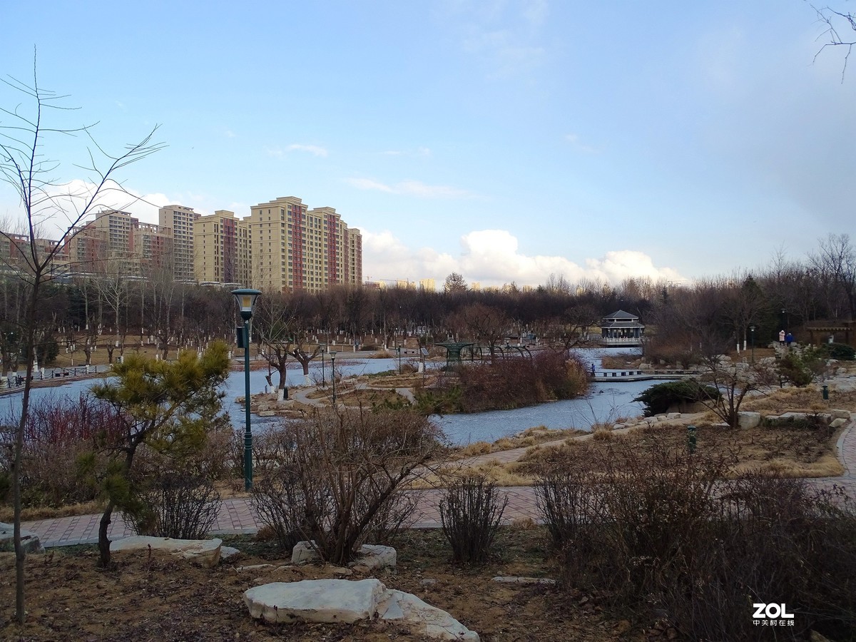 植物园——完结篇（2018.12.31——4）