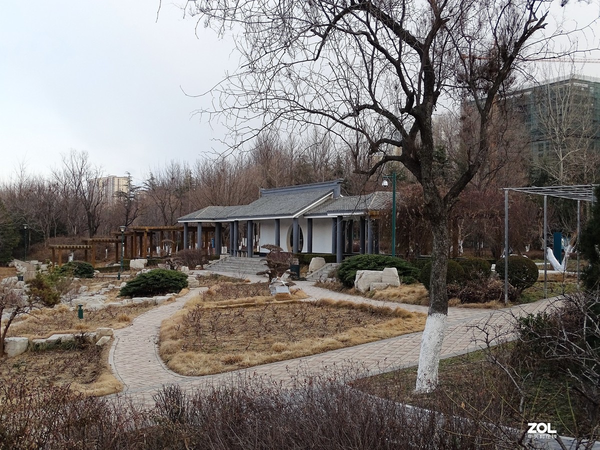 植物园——完结篇（2018.12.31——4）