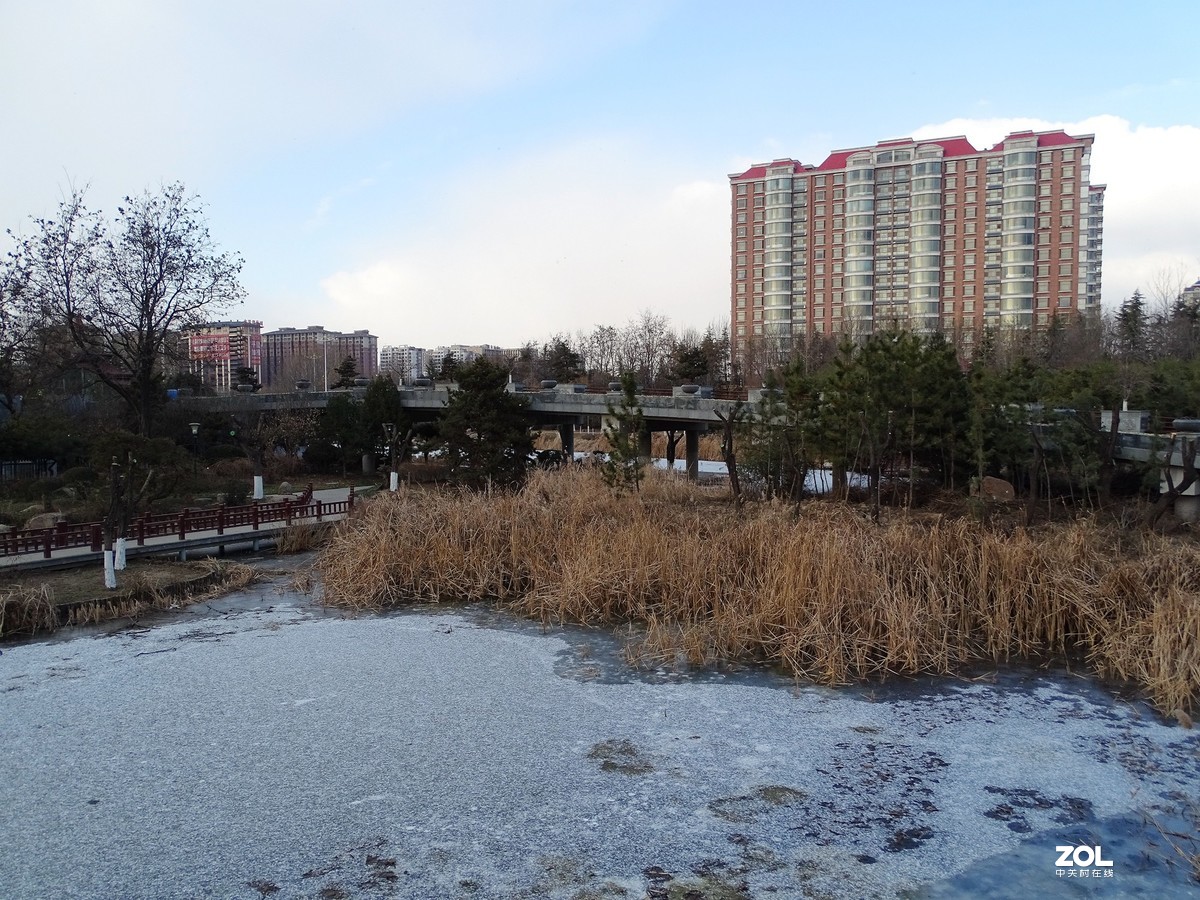 植物园——完结篇（2018.12.31——4）