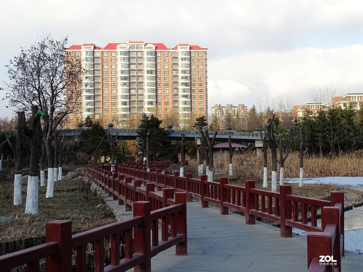 植物园——完结篇（2018.12.31——4）