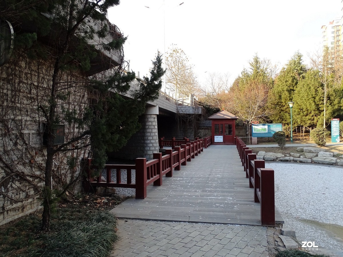 植物园——完结篇（2018.12.31——4）