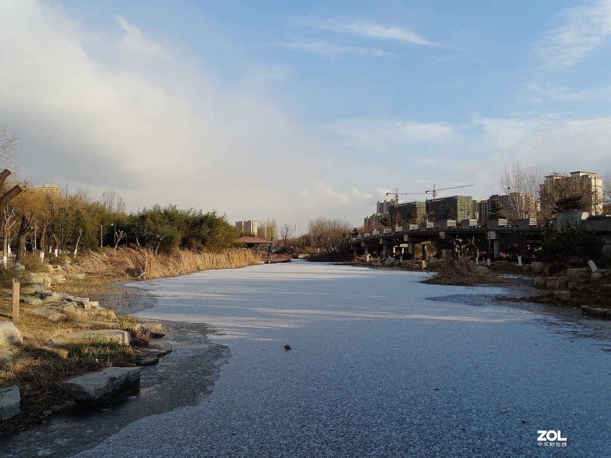 植物园——完结篇（2018.12.31——4）