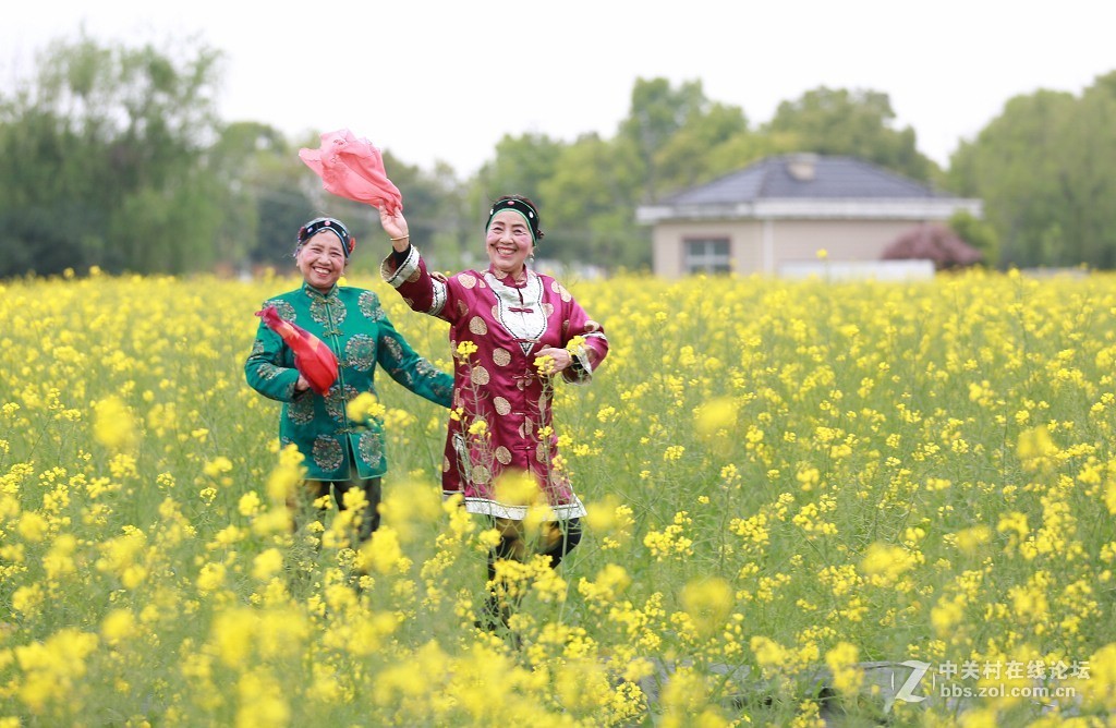 最美村光罗店油菜花田间的媒婆姐妹