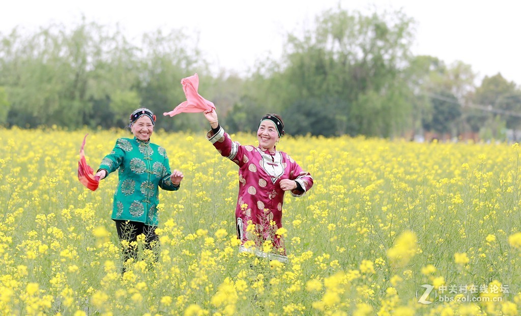 最美村光罗店油菜花田间的媒婆姐妹