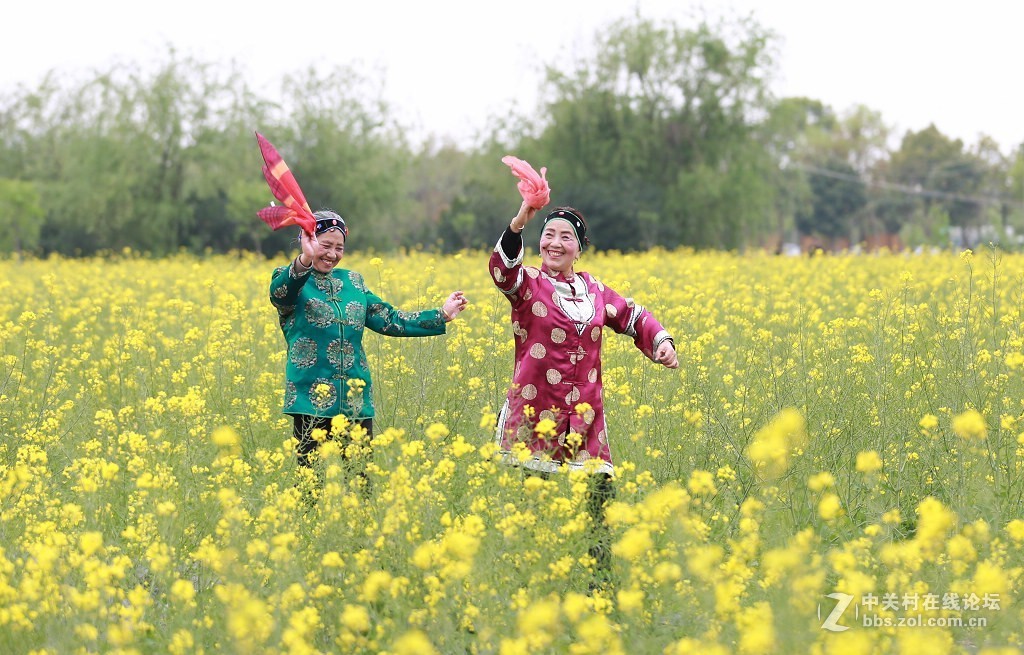 最美村光罗店油菜花田间的媒婆姐妹