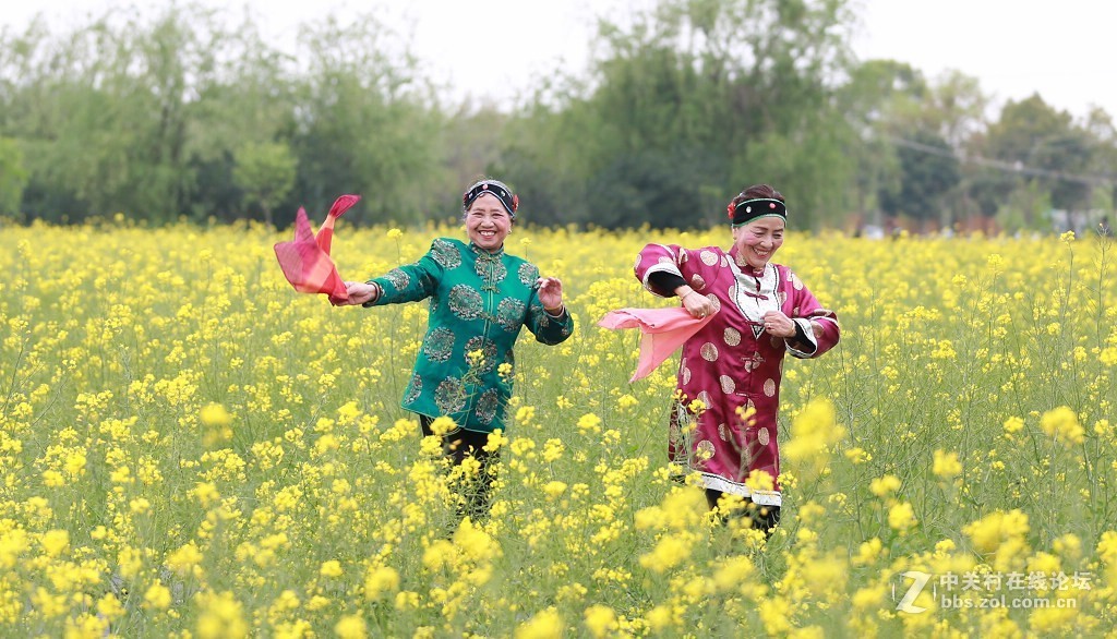 最美村光罗店油菜花田间的媒婆姐妹
