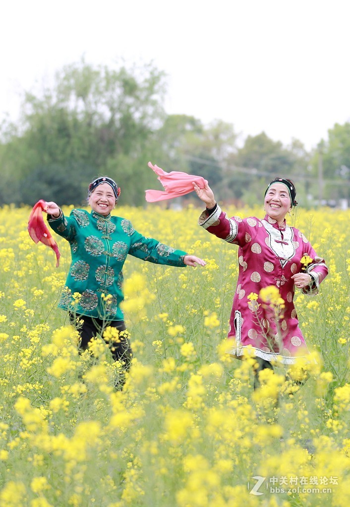 最美村光罗店油菜花田间的媒婆姐妹