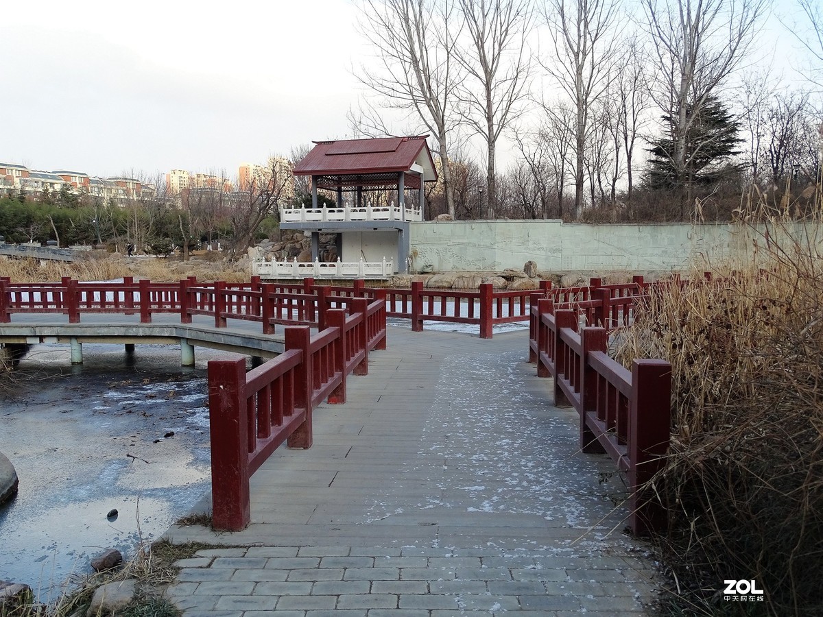 植物园——完结篇（2018.12.31——4）